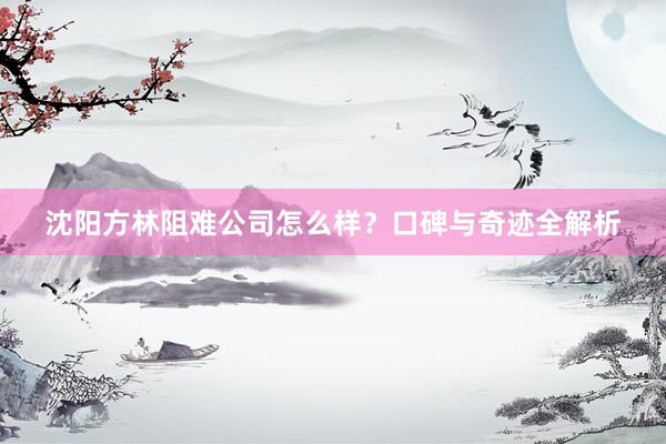 沈阳方林阻难公司怎么样？口碑与奇迹全解析